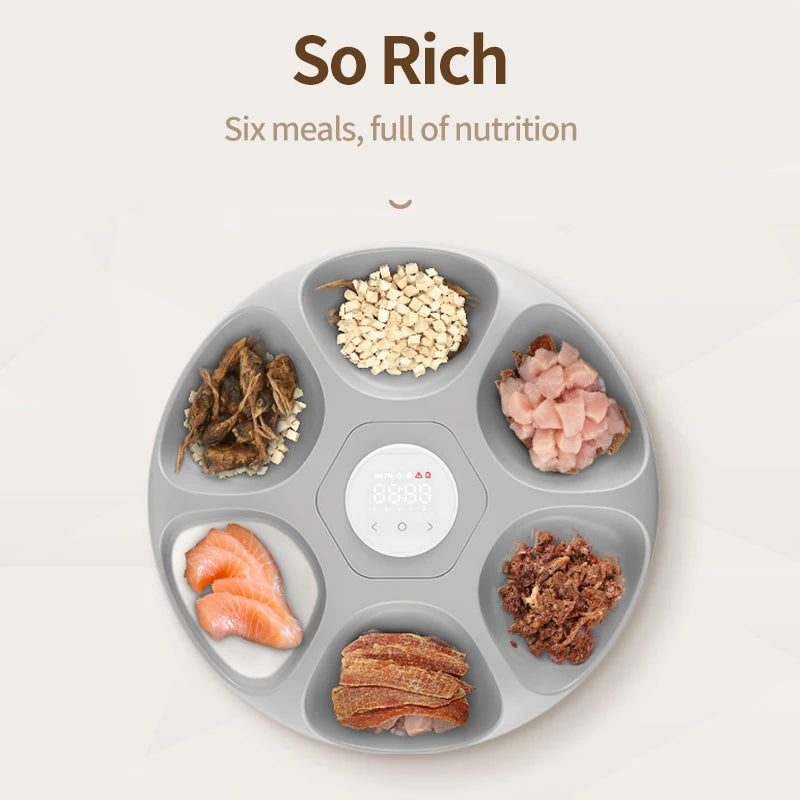6-Meal Automatic Feeder