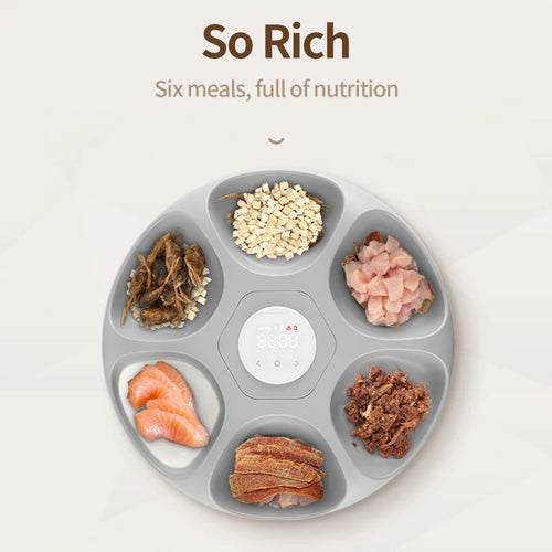 6-Meal Automatic Feeder