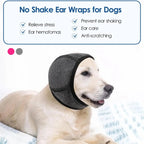 Noise-Reducing Ear Muffs