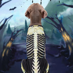 Skeleton Dog Halloween Costume