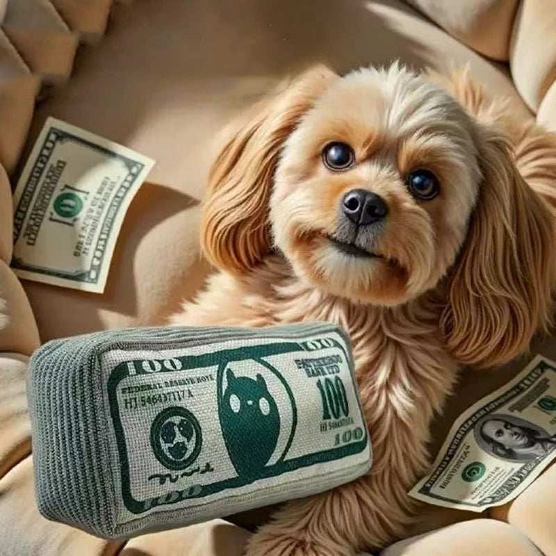 Squeaky Money-Bag Toy