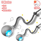 Auto Rolling Ball with Wiggle Tail