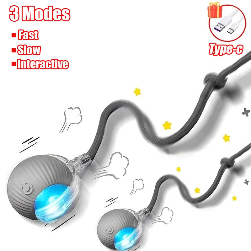 Auto Rolling Ball with Wiggle Tail
