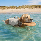Adjustable Buoyancy Life Jacket
