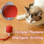 Wiggle-Tail Chase Ball