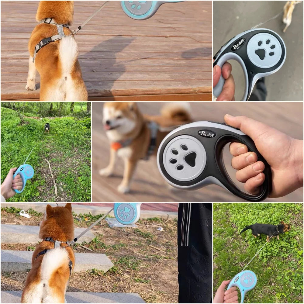 Retractable Paw-Print Lead (3–5 m)