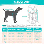 Padded Front Dog Carrier