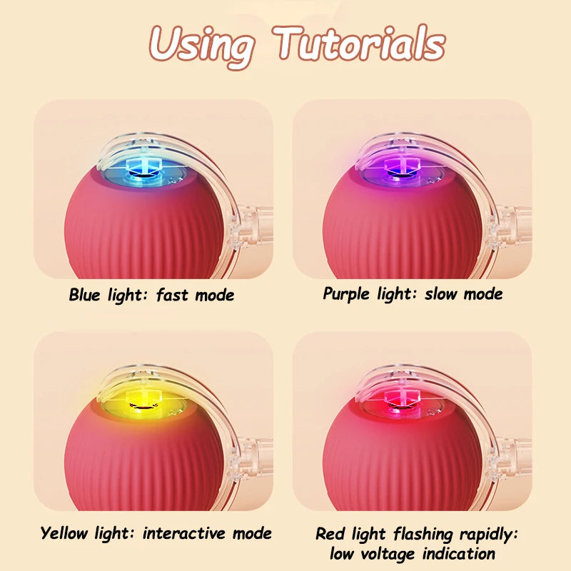 Wiggle-Tail Chase Ball