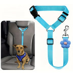 Car Seat-Belt Tether
