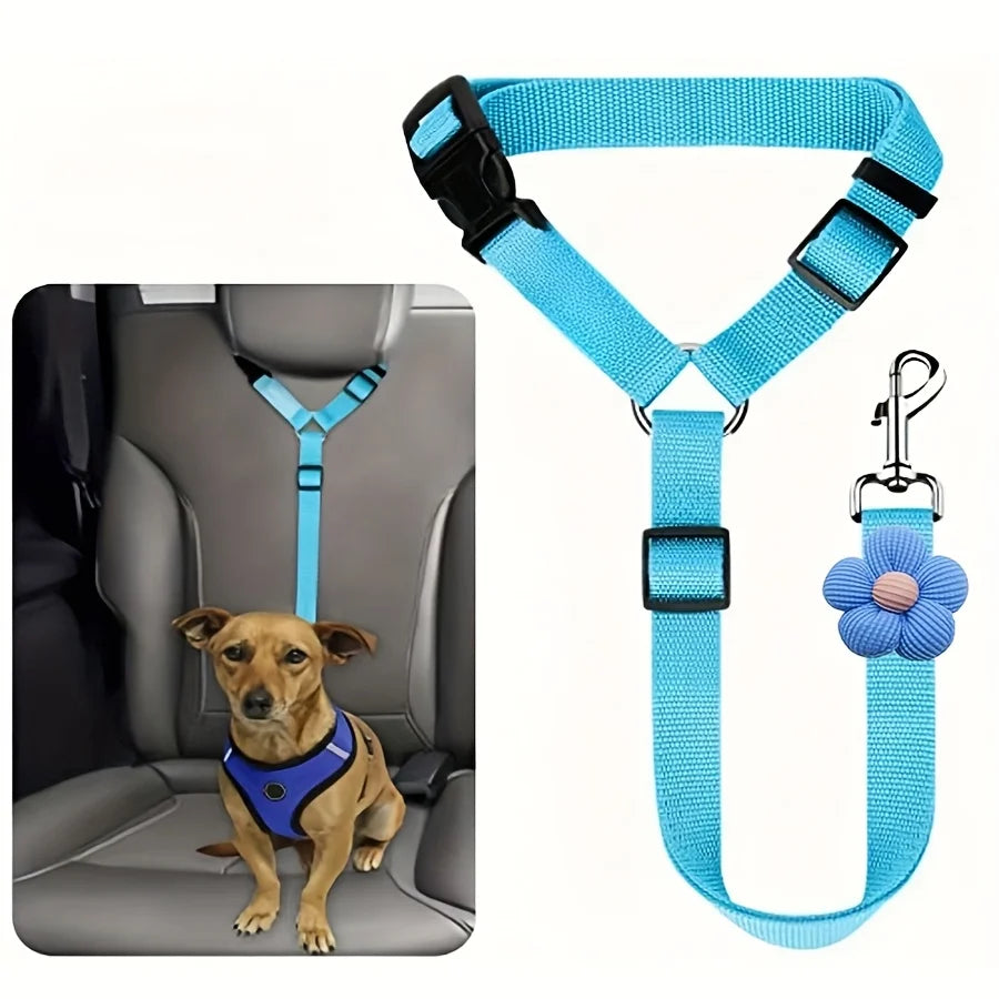 Car Seat-Belt Tether