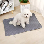 Washable Waterproof Pee Pad