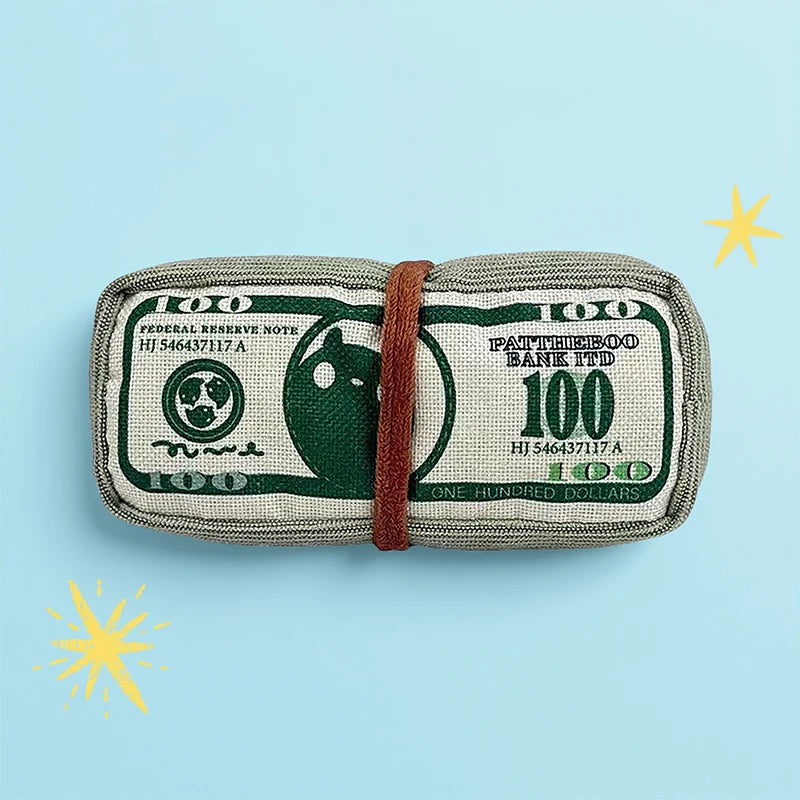 Squeaky Money-Bag Toy