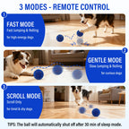 Smart Auto-Move Chew Ball
