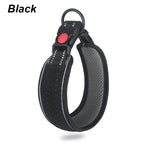 Padded Reflective Collar