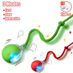 Wiggle-Tail Chase Ball