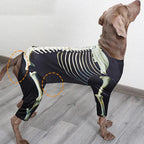 Skeleton Dog Halloween Costume