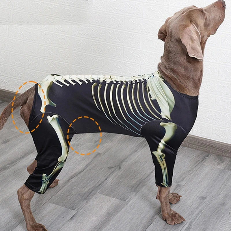 Skeleton Dog Halloween Costume