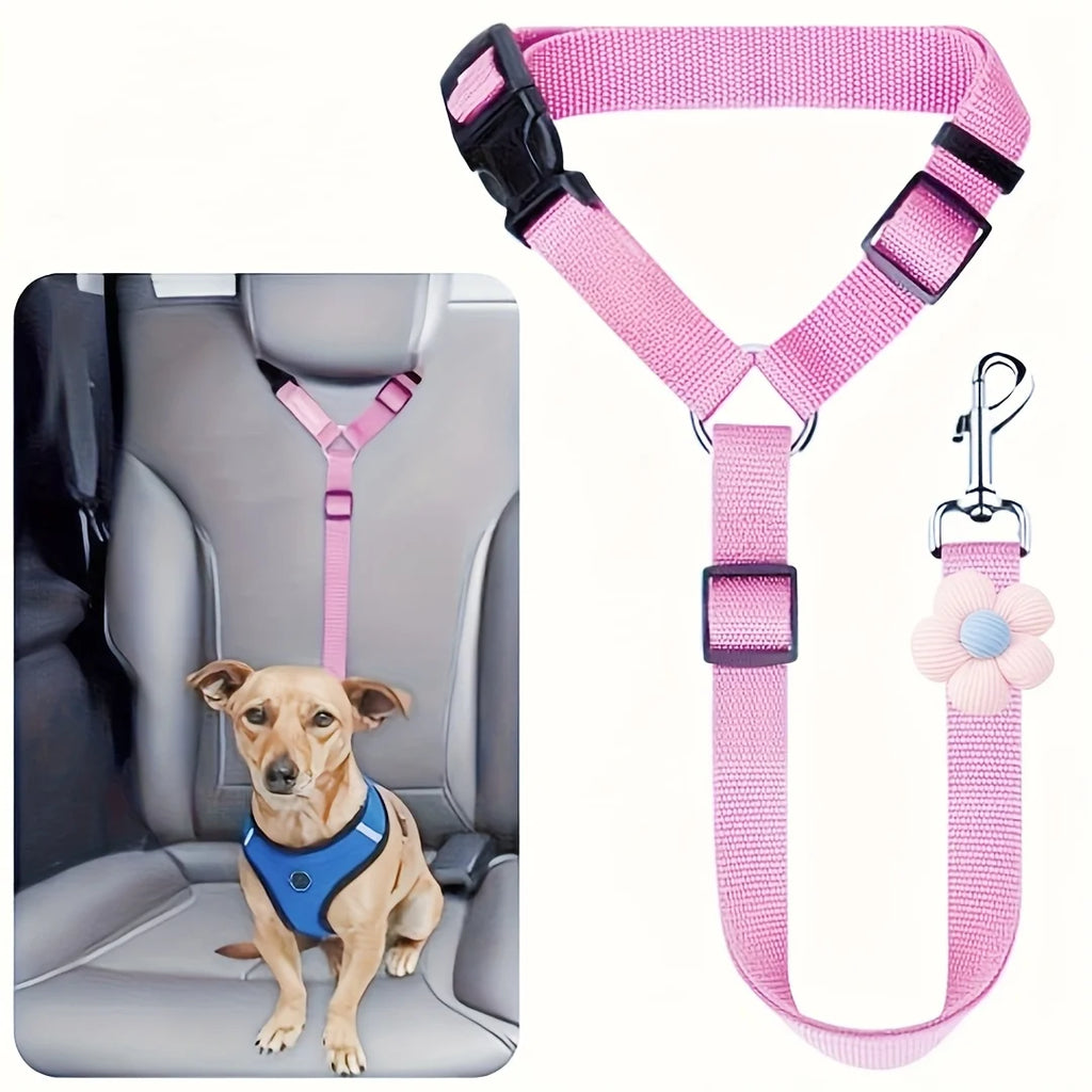 Car Seat-Belt Tether