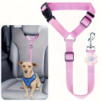 Car Seat-Belt Tether
