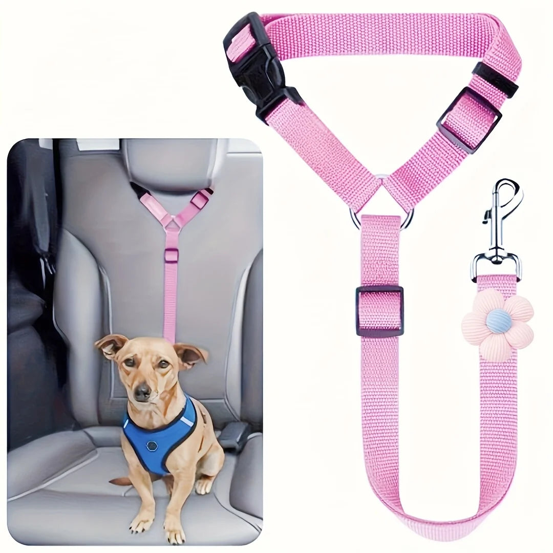 Car Seat-Belt Tether