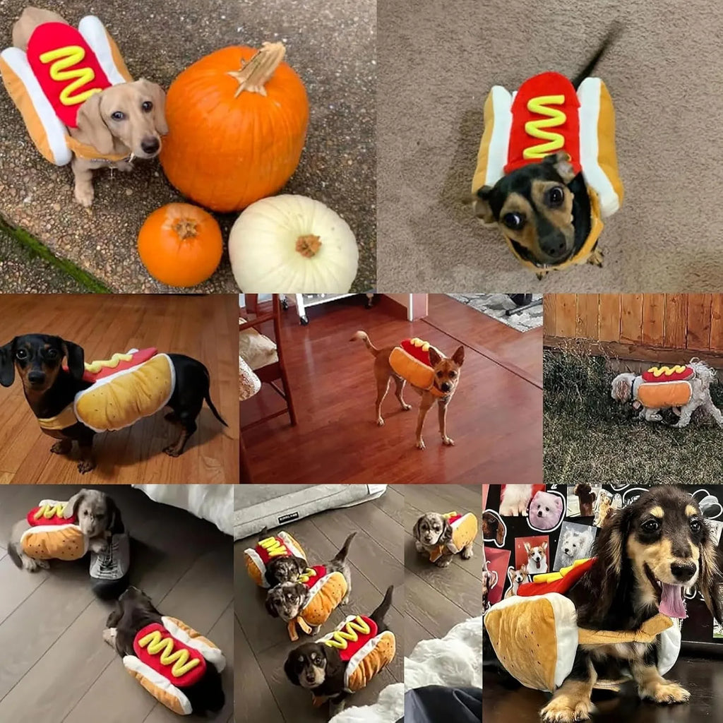 Hot Dog Halloween Costume