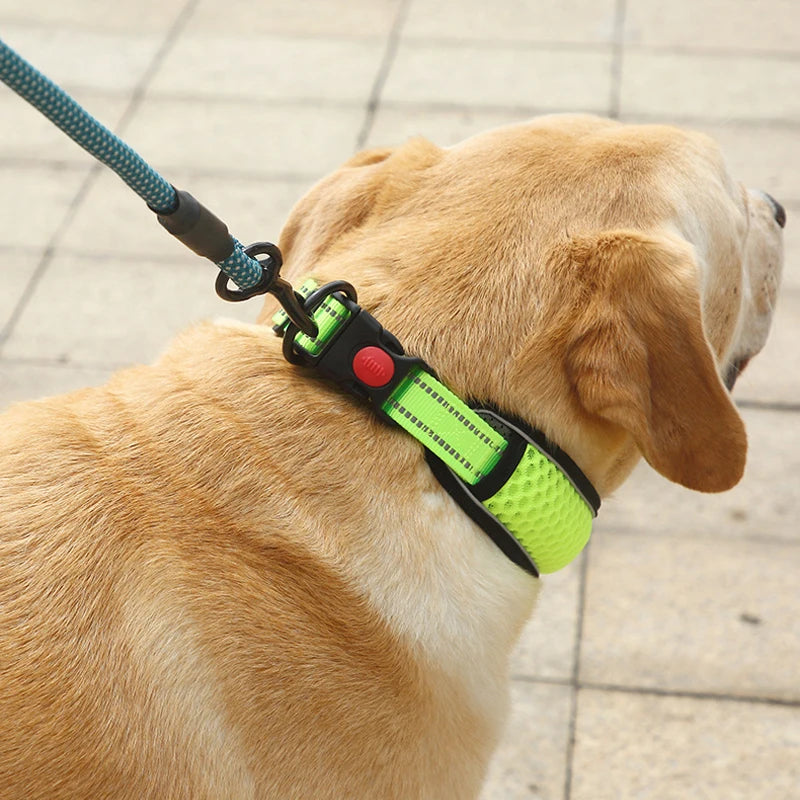 Padded Reflective Collar
