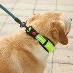 Padded Reflective Collar