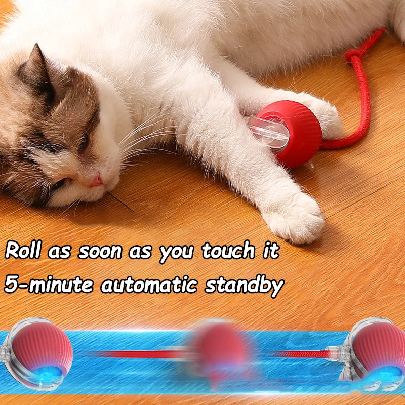 Wiggle-Tail Chase Ball