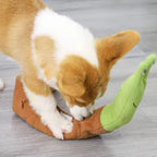 Snail Sniff & Seek Toy