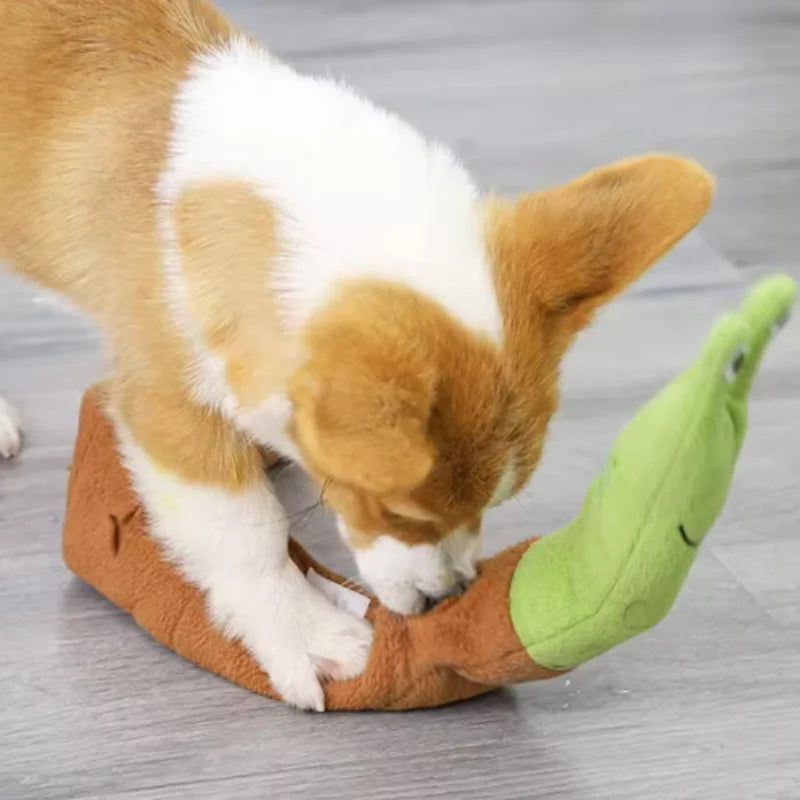 Snail Sniff & Seek Toy