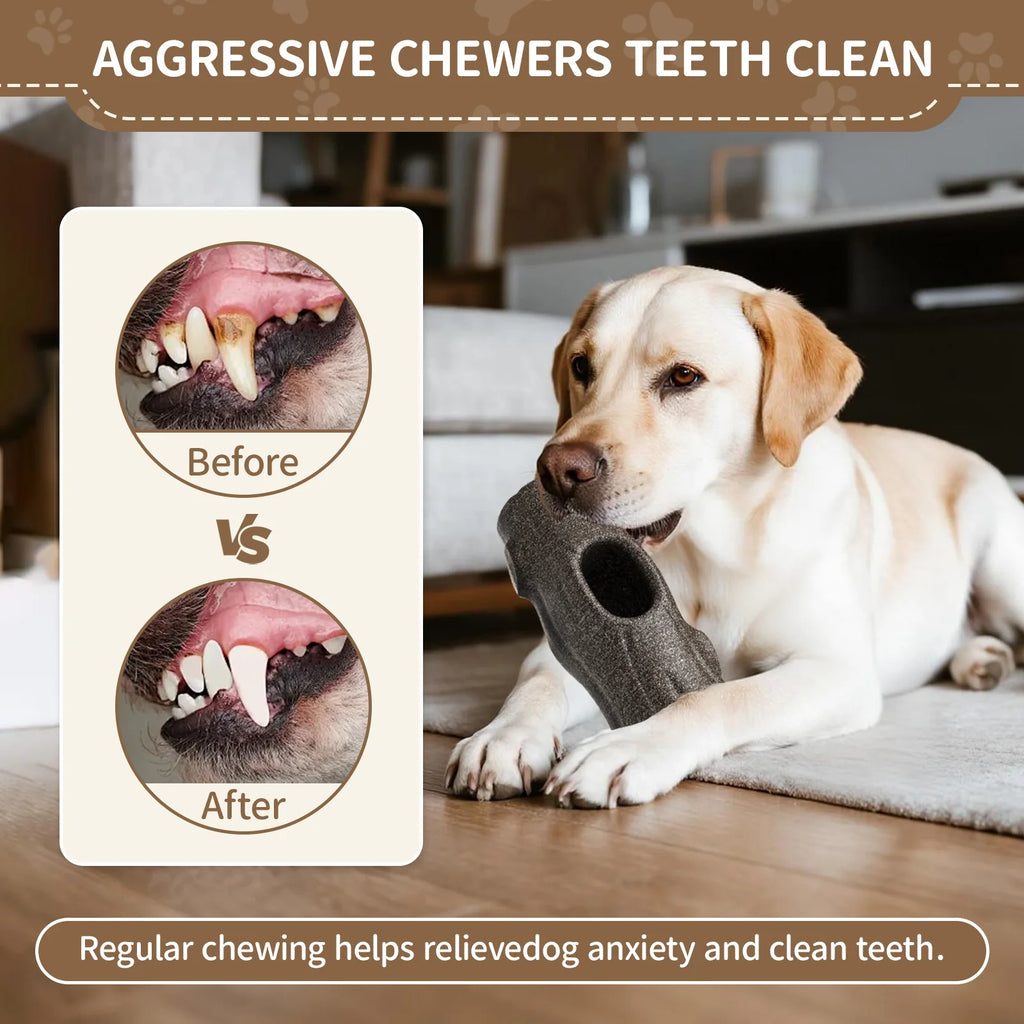 Frozen Treat Chew Toy
