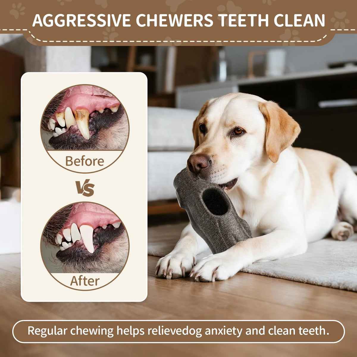 Frozen Treat Chew Toy